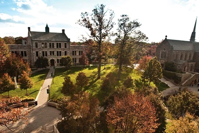 Show Your Greyhound Pride   Undergraduate Admission   Loyola ...