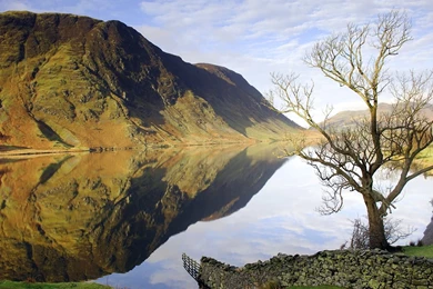 Free Windows Wallpapers