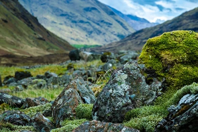 InterfaceLIFT: 2560x1024 Wallpapers Sorted By Comments