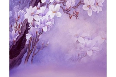 BJD Backdrop/Backgrounds For 1/3 24"/60cm BJD Doll MSD SD DOD ...