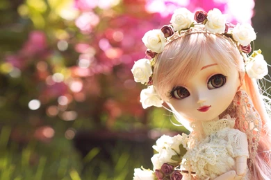 Celebrities   Page 333