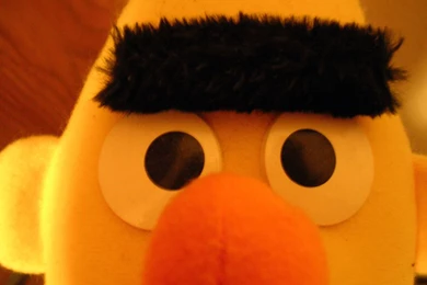 Download Free HD Wallpapers : Wallpapers Bert En Ernie   Download ...