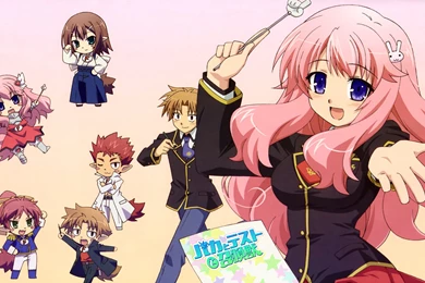 Image   Baka To Test To Shoukanjuu Wallpapers 6 HD.jpg   Baka To ...