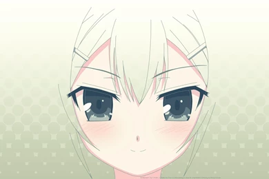 BAKA TO TEST TO SHOKANJU WALLPAPER   (