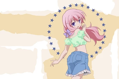 Baka To Test To Shoukanjuu Himeji Mizuki : Desktop And Mobile ...