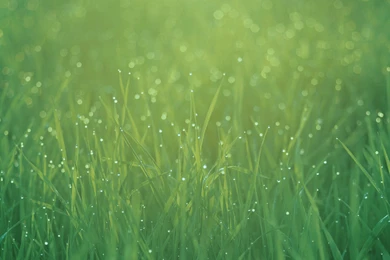 iPad Stock iPad "retina" Wallpapers?