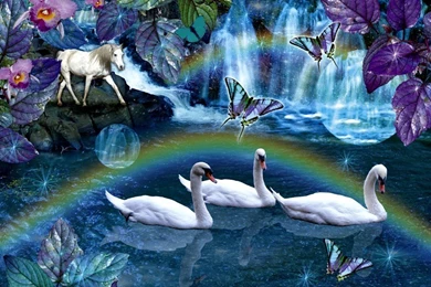 Swan Daydream   Daydreaming Wallpapers (20099204)   Fanpop