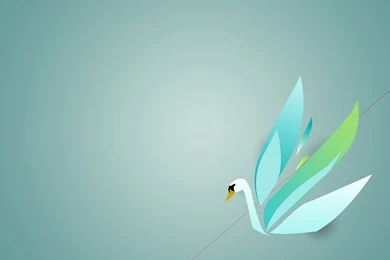 Paint, Tiane, Swan, Wallpapers (