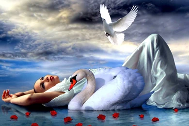 Lady And The Swan Computer Wallpapers, Desktop Backgrounds ...