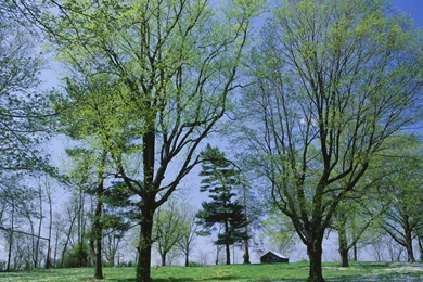 Lexington Kentucky Wallpapers » WallDevil   Best Free HD Desktop ...