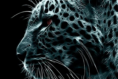 Best 10 WALLPAPER 640X960 Pictures   Image Gallery