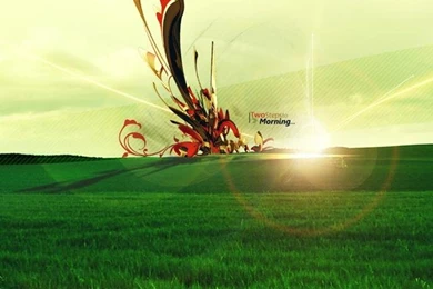 640x960 iPhone 4 Desktop Backgrounds Free HD 640x960 Backgrounds ...