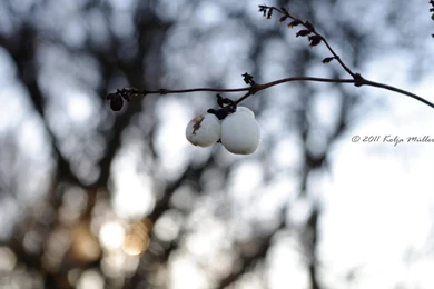 Crazy Backgrounds By Tonygt1991 On DeviantArt