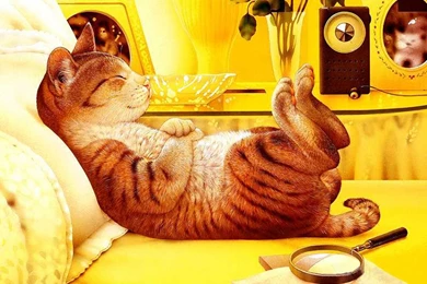 Au Fil Des Pages ...: Les Chats De Makoto Muramatsu   1