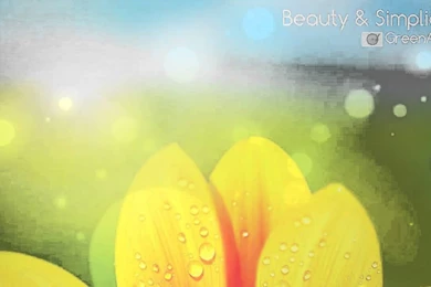 Beautiful Inspirational Backgrounds Music Instrumental   Beauty And ...