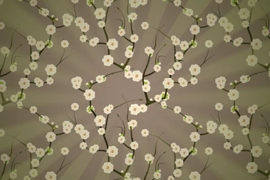 iPhone 4 Pattern Wallpapers Set 2 05