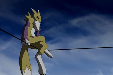 Renamon Wallpapers By Eisenknurren On DeviantArt