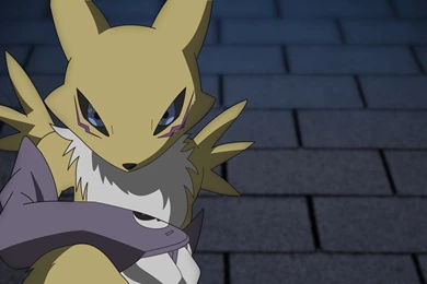 DeviantArt: More Like Sitting Renamon [wallpaper] By DorciMetal