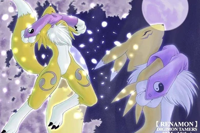 Renamon   Renamon Wallpapers (7059224)   Fanpop