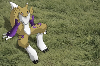Renamon Wallpapers By Eisenknurren On DeviantArt