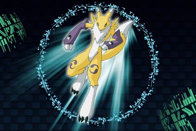 Renamon Wallpapers By Syrchalis On DeviantArt