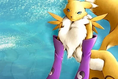 Renamon Wallpapers
