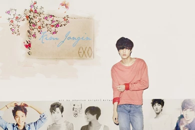 KAI [Kim Jongin] Wallpapers By Mackiez On DeviantArt