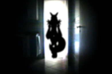 PS Photo   Renamon 01 By Luvini On DeviantArt