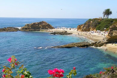 A9CDE7 Color Wallpapers: Laguna Beach CA Flowers Sand Ocean ...