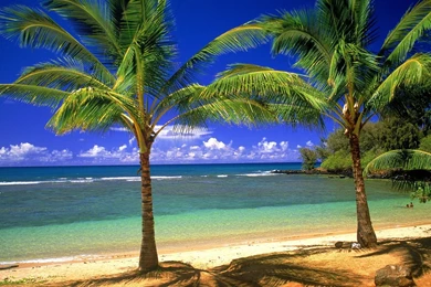 Wallpapers Beach People Ocean Beautiful Laguna Clouds Palm Trees ...