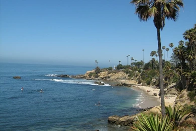 Laguna Beach (id: 106626) – BUZZERG