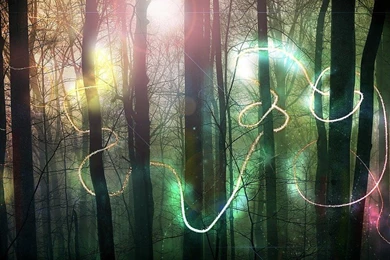 Fairy Woods Free Desktop Backgrounds And Wallpapers