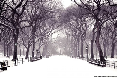 High Resolution Wallpapers Widescreen Winter