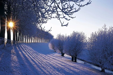 Nature Wallpaper: Winter Wallpapers Wallpapers HD Desktop   From ...