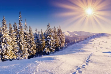 Winter Hd Wallpapers