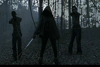 The Walking Dead Snapshot Wallpapers