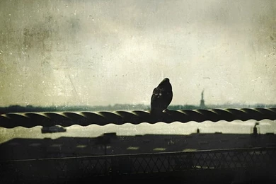 Liberty , Conceptual Photography Wallpapers 3   Wallcoo.net