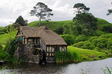 Matamata, Waikato, New Zealand.