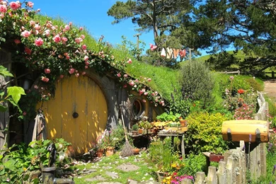 Photo Of The Week: Hobbiton