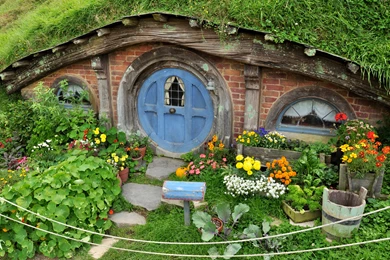 MirandaNet Fellowship   Article