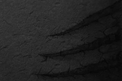 Here's The Complete HTC 10 Wallpapers Collection