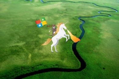 Here Are A Bunch Of Windows 10 Ninja Cat Wallpapers!   MSPoweruser