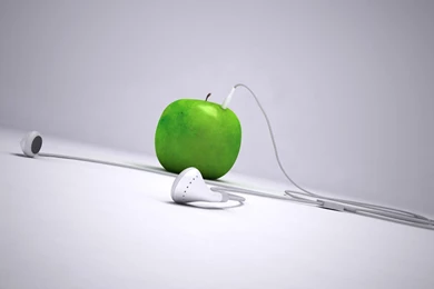 Funny Wallpapers   HD Desktop Backgrounds   Page 2