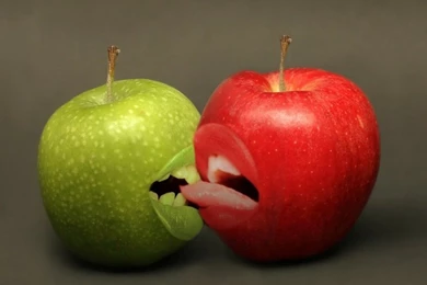 Funny Apples Photomanipulations 1600x1200 Wallpapers High Quality ...