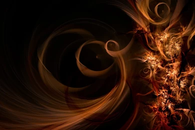 Download Wallpapers 1920x1080 Flowers, Patterns, Brown, Black Full ...