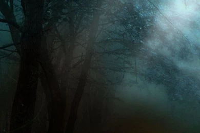 540x960 Dark Foggy Night Lenovo Phone Wallpapers HD Mobile