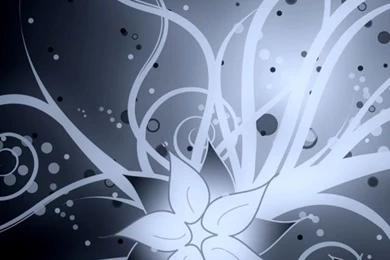 640x960 Hot Wallpapers For Phone Download   8   640x960   Hot ...