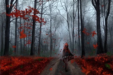 Anime Girl Forest Autumn Tree Red Leaf Road Wallpapers