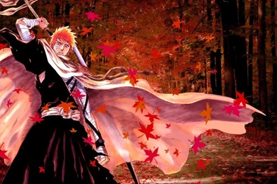 Autumn,Bleach Autumn Bleach Kurosaki Ichigo 1280x800 Wallpapers ...