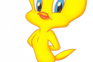 Tweety Bird HD Wallpapers 6JT   WALLEO.CO   WALLEO.CO